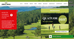 Desktop Screenshot of owlshead.com